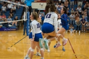 Volleyball: North Henderson at West Henderson (BR3_2901)
