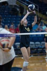 Volleyball: Brevard at TC Roberson (BR3_5929)