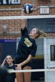 Volleyball: Brevard at TC Roberson (BR3_5948)