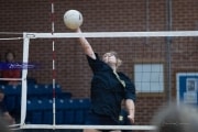 Volleyball: Brevard at TC Roberson (BR3_5966)