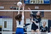 Volleyball: Brevard at TC Roberson (BR3_6324)