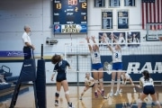 Volleyball: Brevard at TC Roberson (BR3_6601)