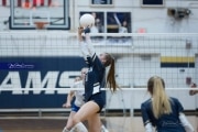 Volleyball: Brevard at TC Roberson (BR3_6738)