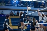 Volleyball: Brevard at TC Roberson (BR3_6961)