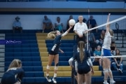 Volleyball: Brevard at TC Roberson (BR3_7000)