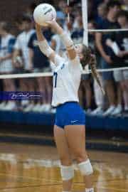 Volleyball: Brevard at TC Roberson (BR3_7218)