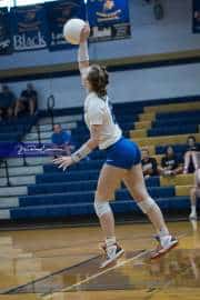 Volleyball: Brevard at TC Roberson (BR3_7255)