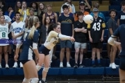 Volleyball: Brevard at TC Roberson (BR3_7282)