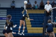 Volleyball: Brevard at TC Roberson (BR3_7308)