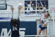 Volleyball: Brevard at TC Roberson (BR3_7670)