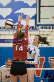 Volleyball: Hendersonville at West Henderson  (BR3_3208)