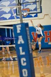 Volleyball: Hendersonville at West Henderson  (BR3_3508)