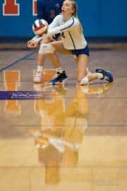 Volleyball: Hendersonville at West Henderson  (BR3_3610)