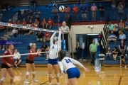 Volleyball: Hendersonville at West Henderson  (BR3_4034)