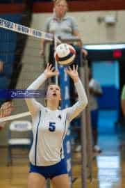 Volleyball: Hendersonville at West Henderson  (BR3_4076)