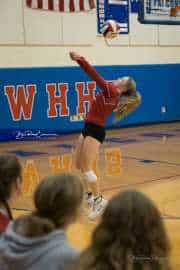 Volleyball: Hendersonville at West Henderson  (BR3_4154)