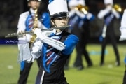 (BR3_6387)