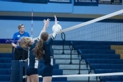 Volleyball: TC Roberson v McDowell (BR3_3723)