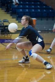 Volleyball: TC Roberson v McDowell (BR3_3981)