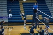 Volleyball: TC Roberson v McDowell (BR3_4421)