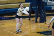 Volleyball: TC Roberson v McDowell (BR3_4551)