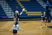 Volleyball: TC Roberson v McDowell (BR3_4701)