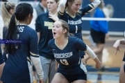 Volleyball: TC Roberson v McDowell (BR3_4751)
