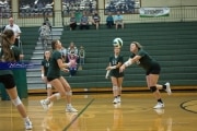 Volleyball North Henderson at East Henderson (BR3_0070)