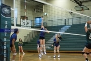 Volleyball North Henderson at East Henderson (BR3_0101)