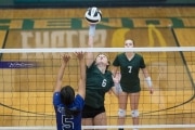 Volleyball North Henderson at East Henderson (BR3_9684)