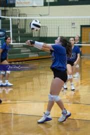 Volleyball North Henderson at East Henderson (BR3_9755)