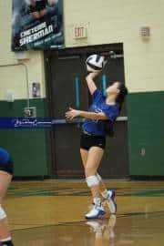 Volleyball North Henderson at East Henderson (BR3_9850)