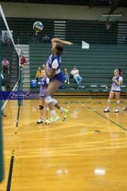 Volleyball North Henderson at East Henderson (BR3_0771)