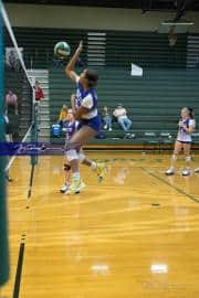 Volleyball North Henderson at East Henderson (BR3_0772)