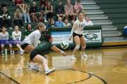 Volleyball North Henderson at East Henderson (BR3_0990)