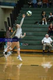 Volleyball North Henderson at East Henderson (BR3_1028)