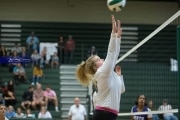 Volleyball North Henderson at East Henderson (BR3_1071)