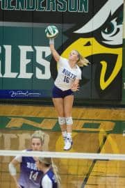 Volleyball North Henderson at East Henderson (BR3_1114)