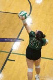 Volleyball North Henderson at East Henderson (BR3_1129)