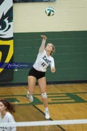Volleyball North Henderson at East Henderson (BR3_1286)