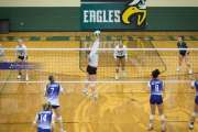 Volleyball North Henderson at East Henderson (BR3_1319)