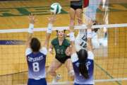 Volleyball North Henderson at East Henderson (BR3_1322)