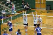 Volleyball North Henderson at East Henderson (BR3_1338)