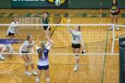 Volleyball North Henderson at East Henderson (BR3_1345)