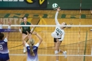 Volleyball North Henderson at East Henderson (BR3_1378)