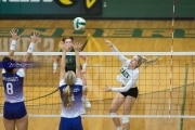 Volleyball North Henderson at East Henderson (BR3_1381)