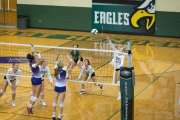 Volleyball North Henderson at East Henderson (BR3_1392)
