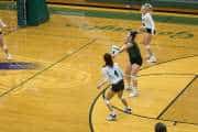 Volleyball North Henderson at East Henderson (BR3_1472)