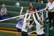 Volleyball North Henderson at East Henderson (BR3_1571)