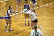 Volleyball North Henderson at East Henderson (BR3_1608)